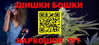 шишки Камышлов