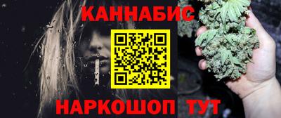 шишки Камышлов