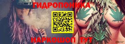 jwh Кандалакша