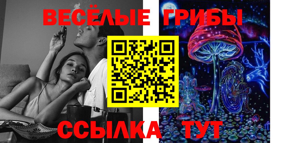 Псилоцибиновые грибы мицелий  где найти наркотики  Ишимбай  Вход с VPN 